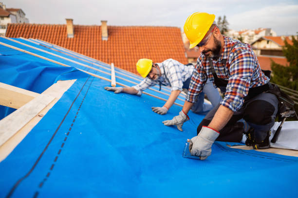 Best Roof Gutter Cleaning  in Johnstown, NY